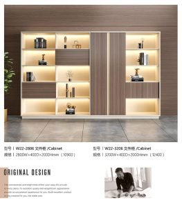 Government Furniture File Cabinets09