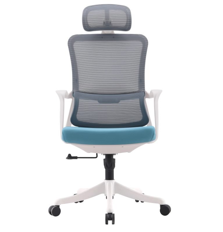 Office Chair,Ergonomic Chair,Mesh Chair
